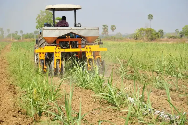 Yoma Heavy Equipment News Model Sugarcane Farm Image